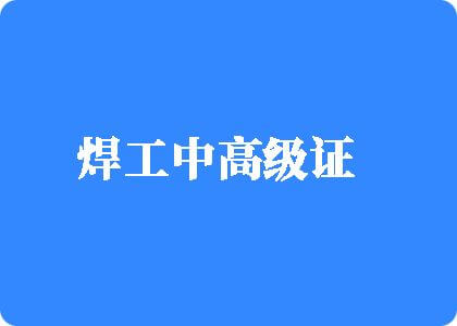 骚逼被大鸡巴操烂了视频焊工中高级证